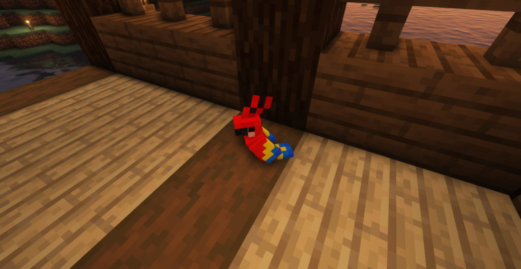 はじめての仲間