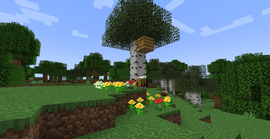 ハチの巣を見つけた