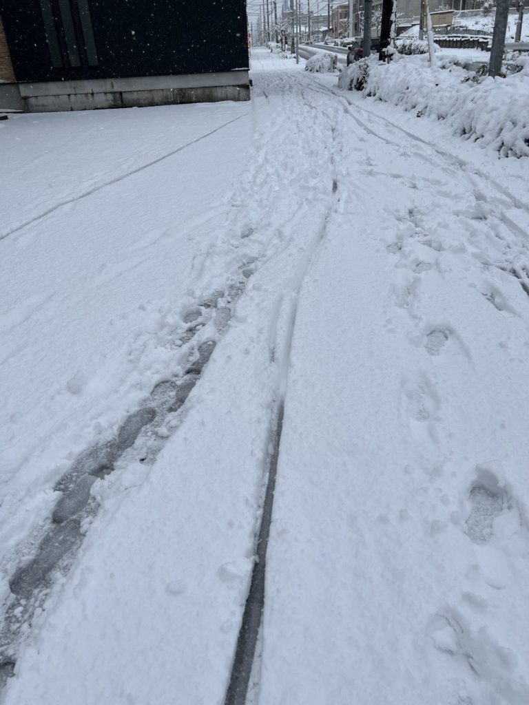 夕方には雪は無くなっていた(朝の状態)