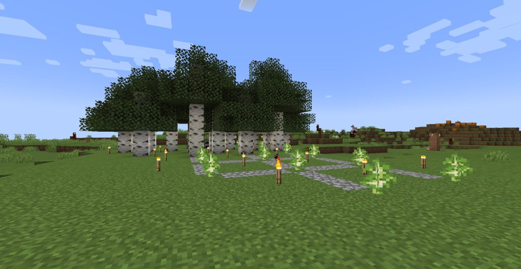 平原に適当に植えては切っていたシラカバの木