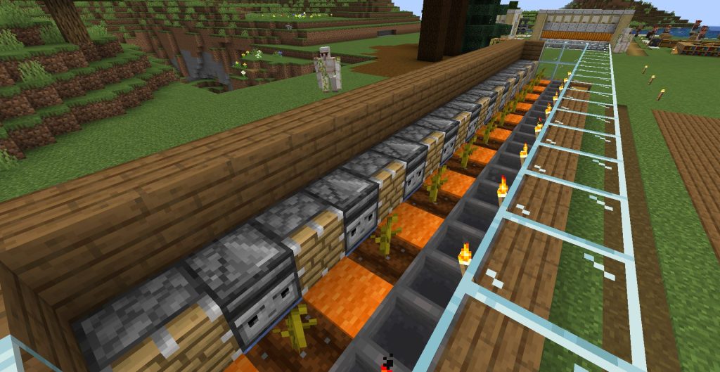 自動収穫式のカボチャ畑