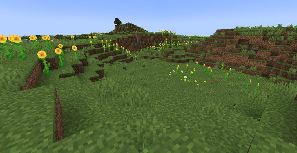 迷子になる、ひまわりの群生地