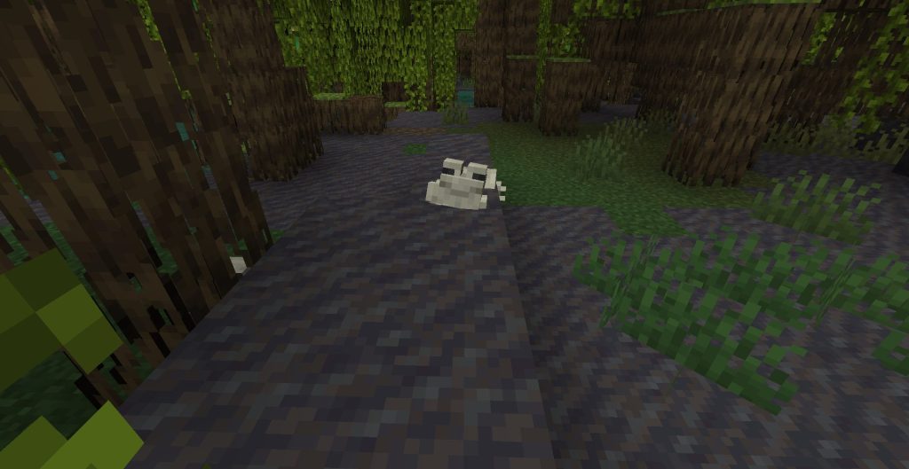 ついでに回りの探索、その2