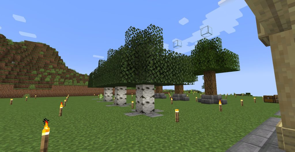 小さいけど植林場を作った