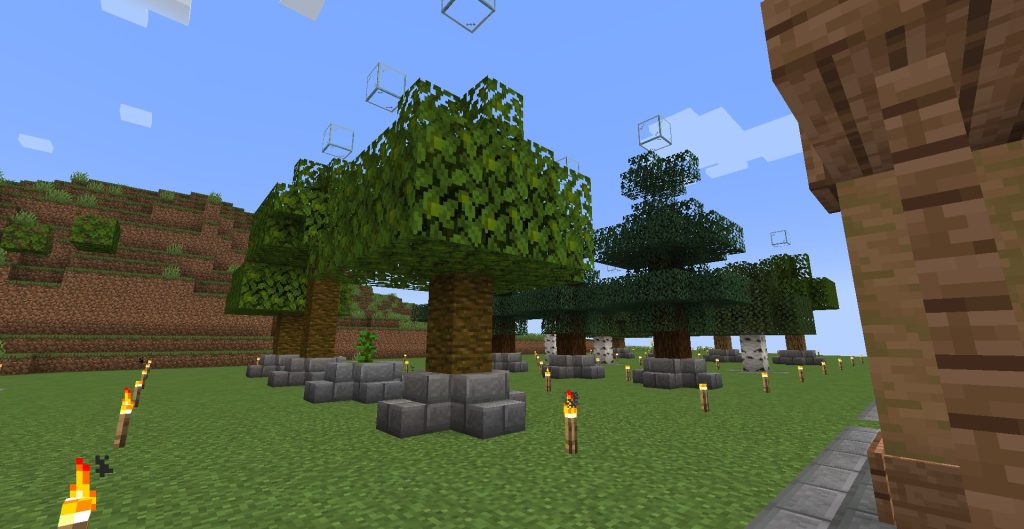 4本ずつの植林場