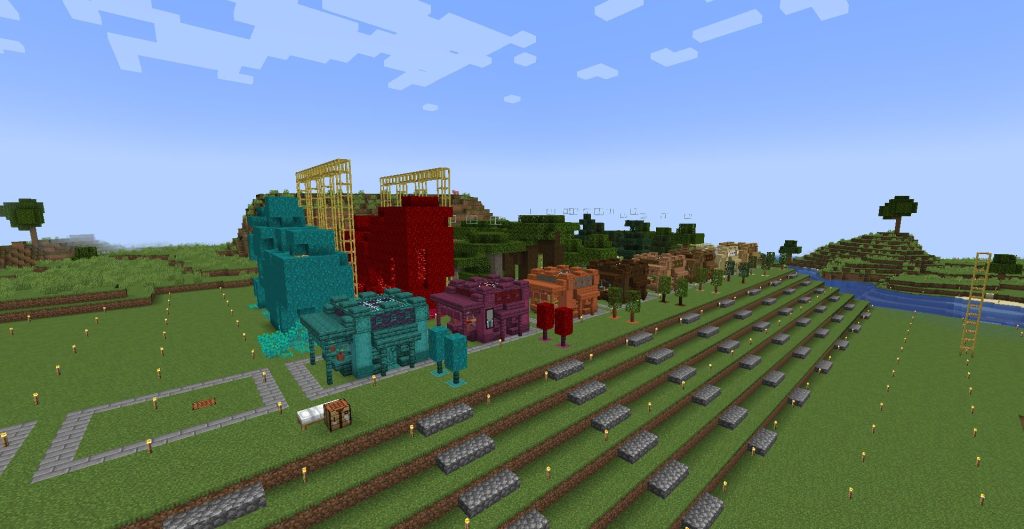 現在の植林場の様子