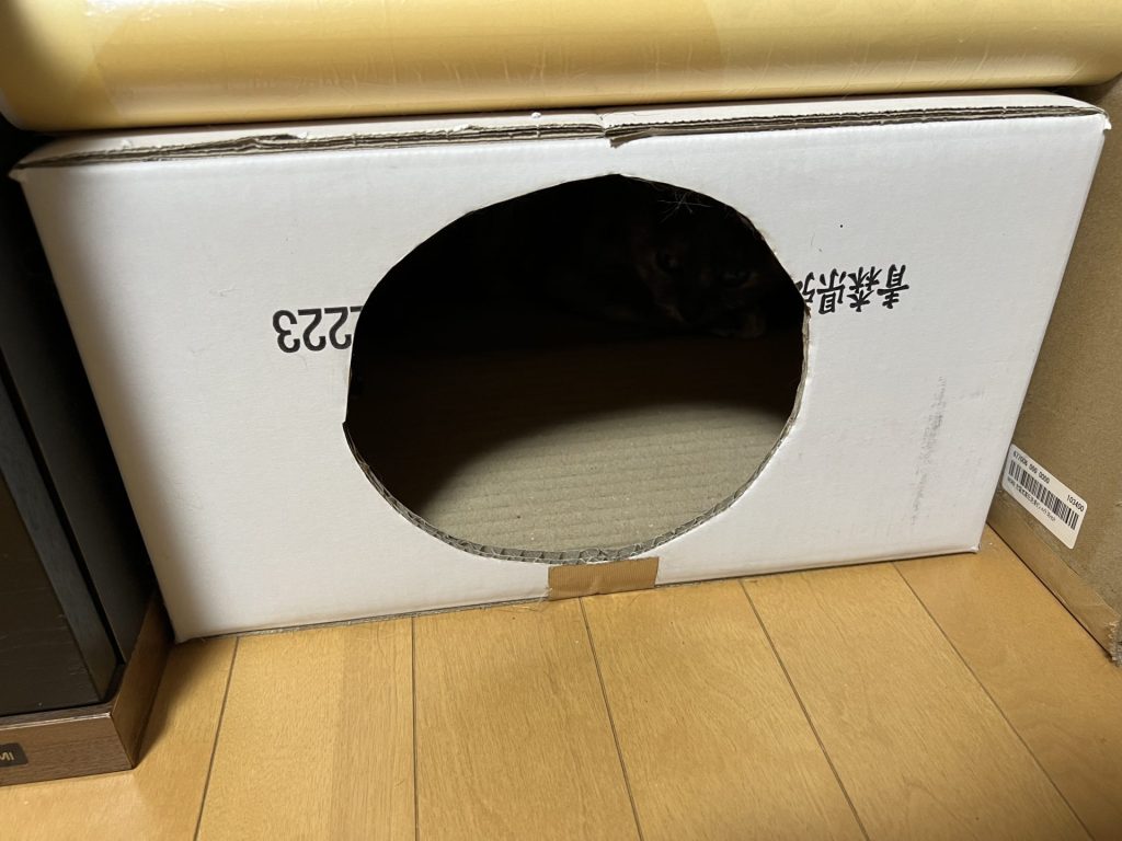 新しい箱が設置されてた、その1