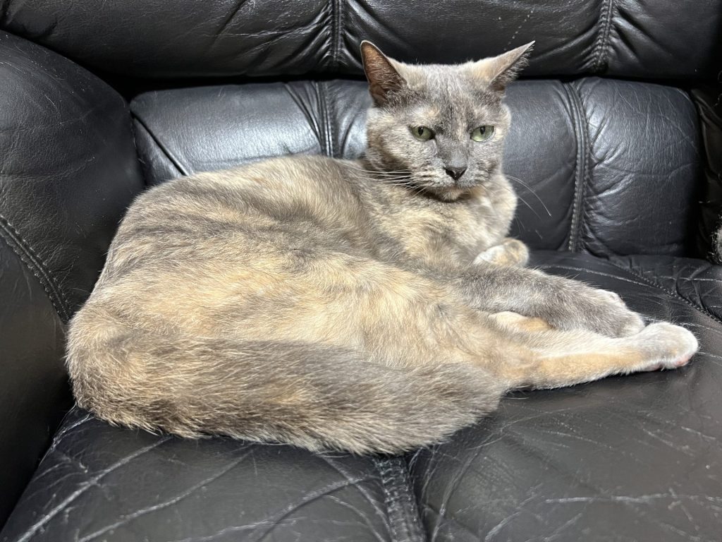 急に真顔になる