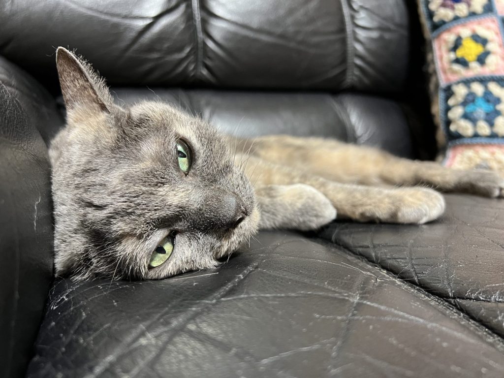 溶けそうになっている、その2