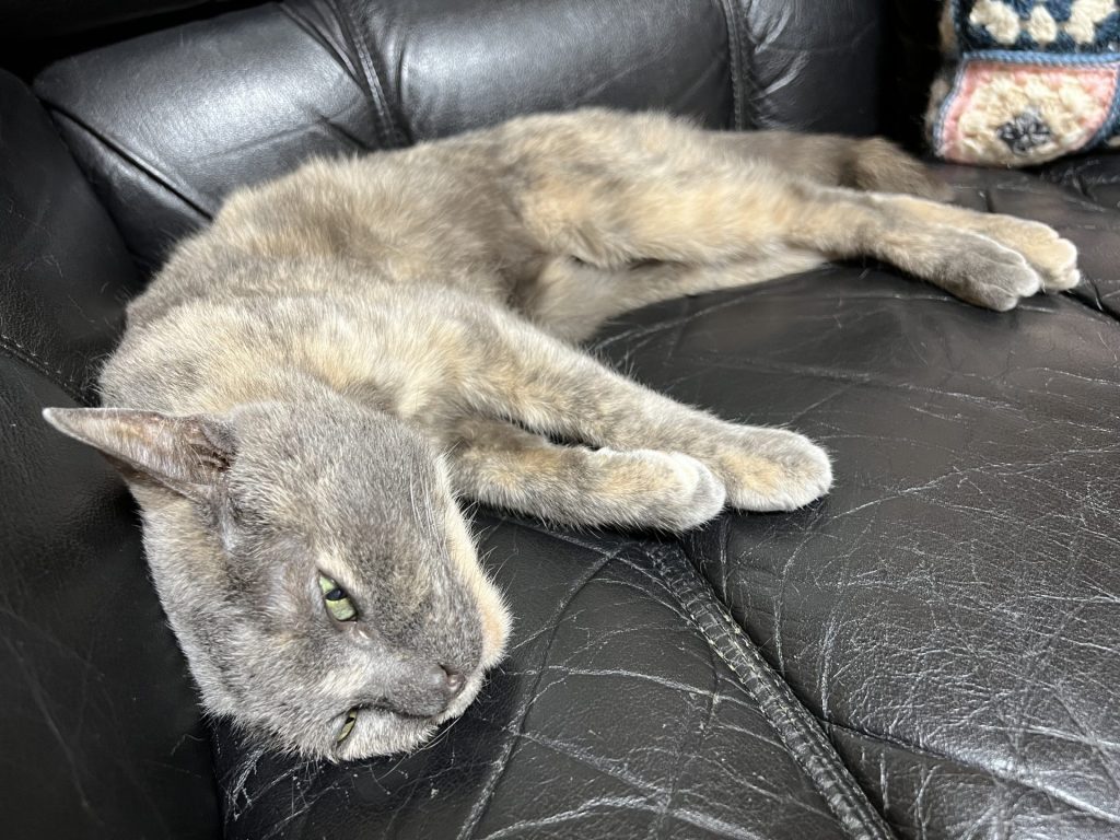 溶けそうになっている、その1