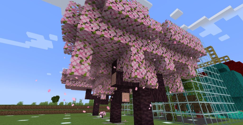 サクラの植林場、その1