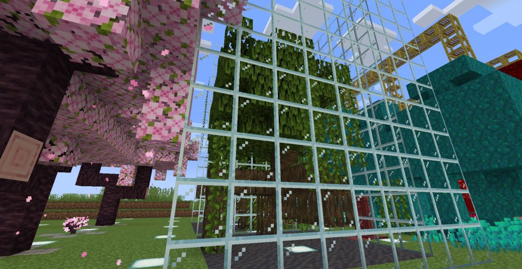 マングローブの植林場、その1