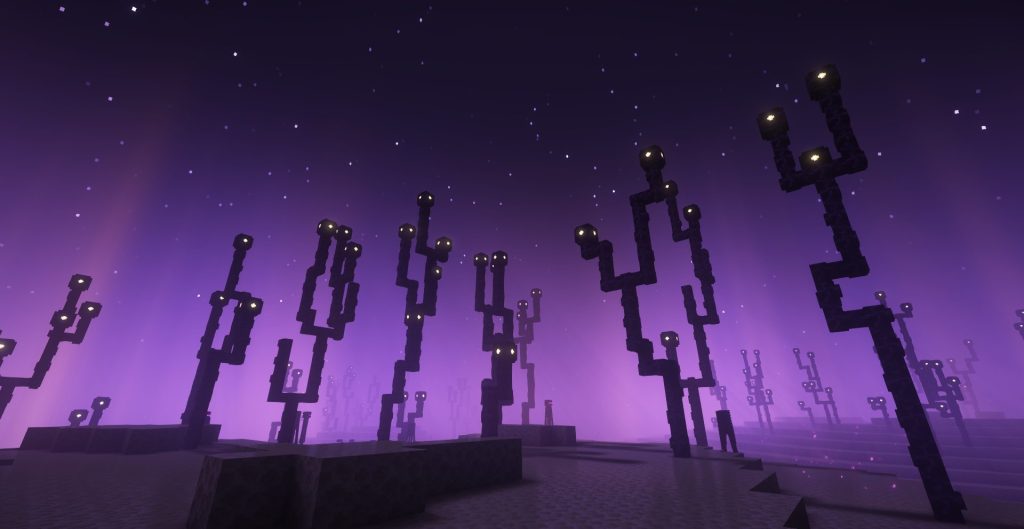 ネザー、エンド、その2