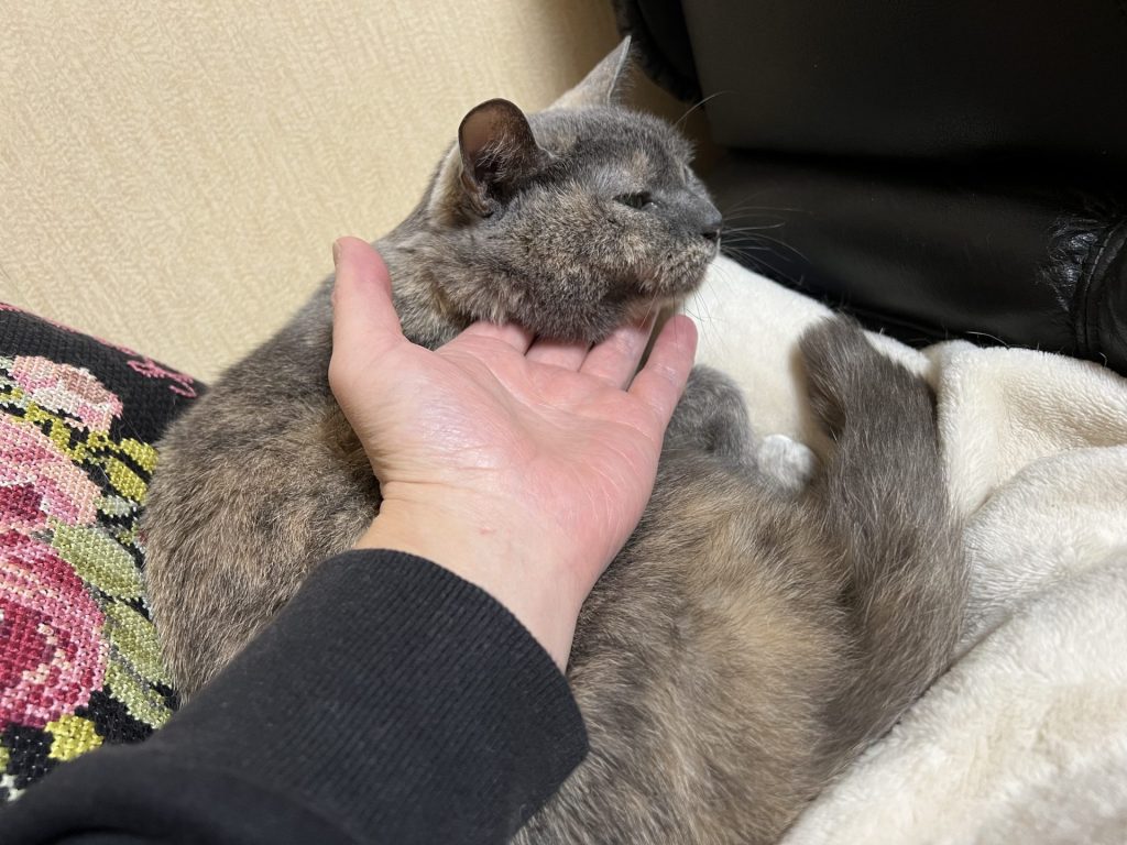 のどの鳴り具合を確認する、その2