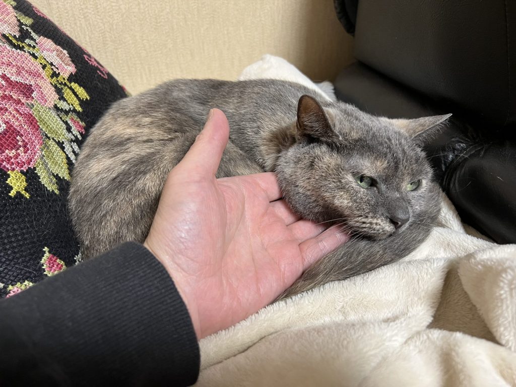 のどの鳴り具合を確認する、その1