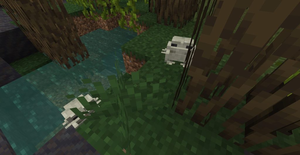 マングローブの沼地に行く、その2