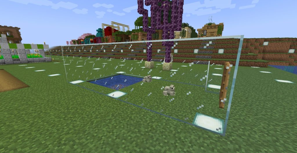 橙色のカエル、その1