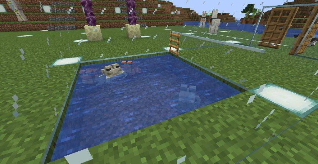 橙色のカエル、その2