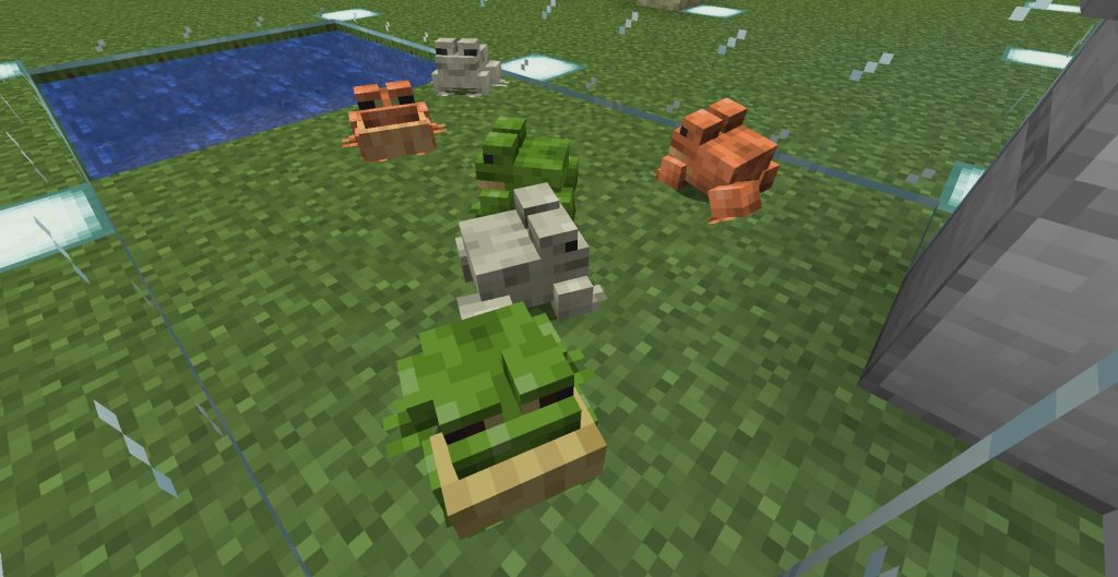 緑色のカエル、その2