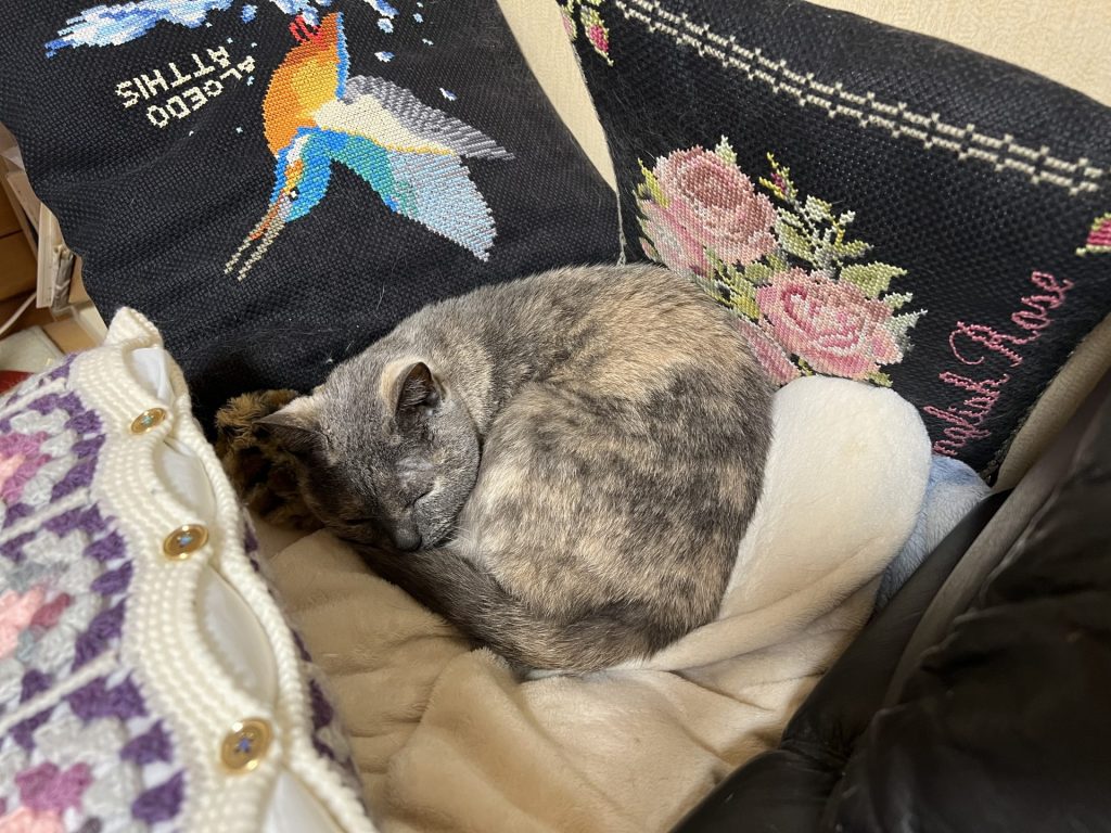 モフモフポジション