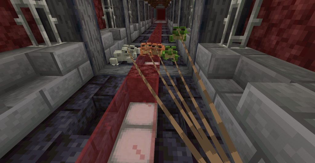 カエルを回収装置建設現場まで連れて行く、その1