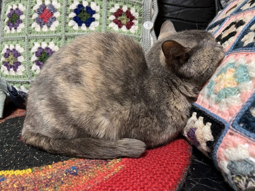 首が柔らかい、その2