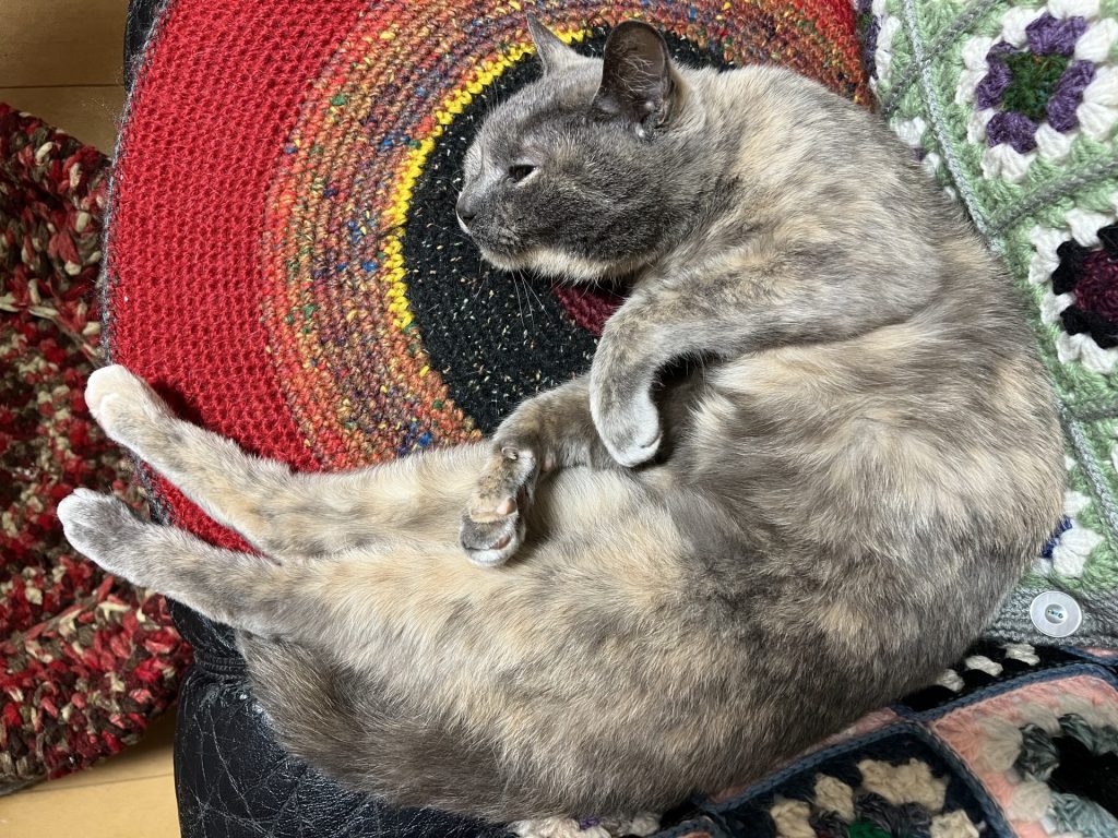 丸くなったり、伸びたり、その2