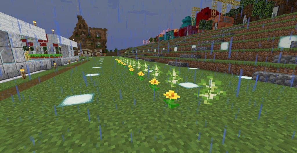 ハチの巣を集める、その1