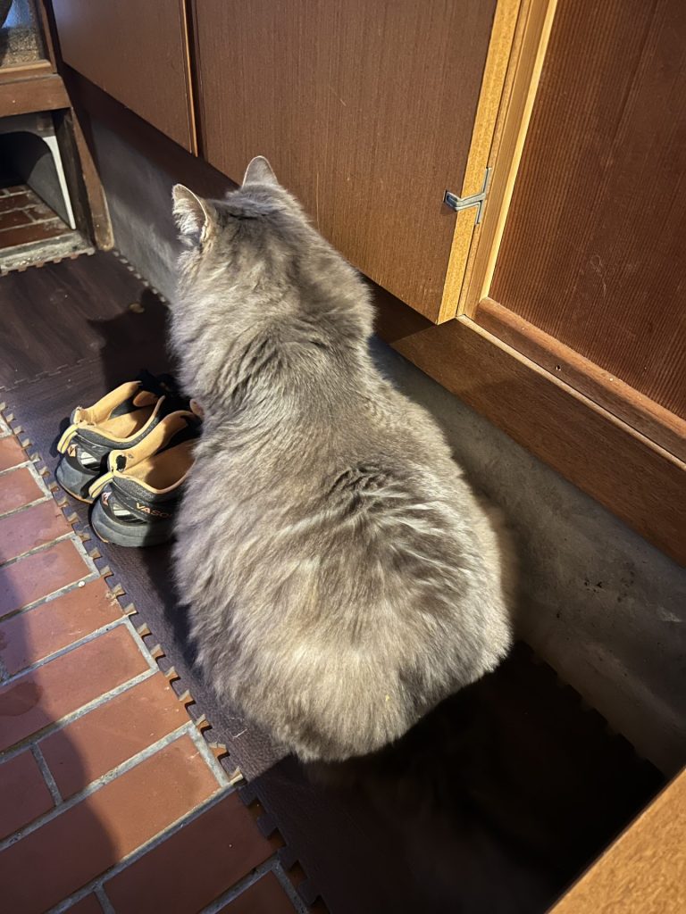 玄関でたたずんでいた