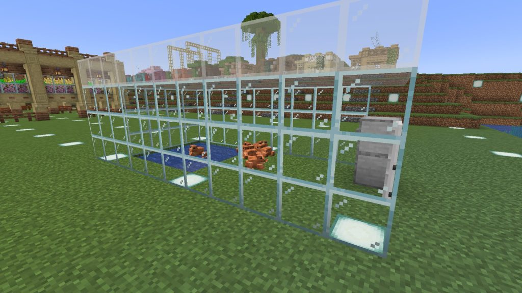 カエルの解放、その1