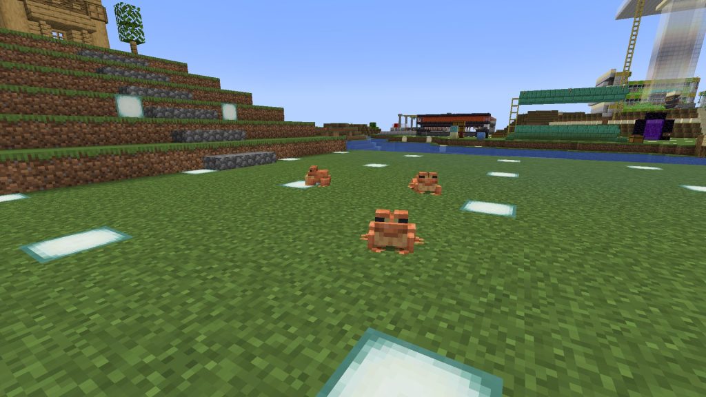 カエルの解放、その2