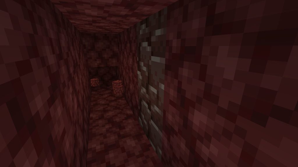 ネザーでブラマイ